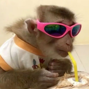 Meet your Posher, Makenna